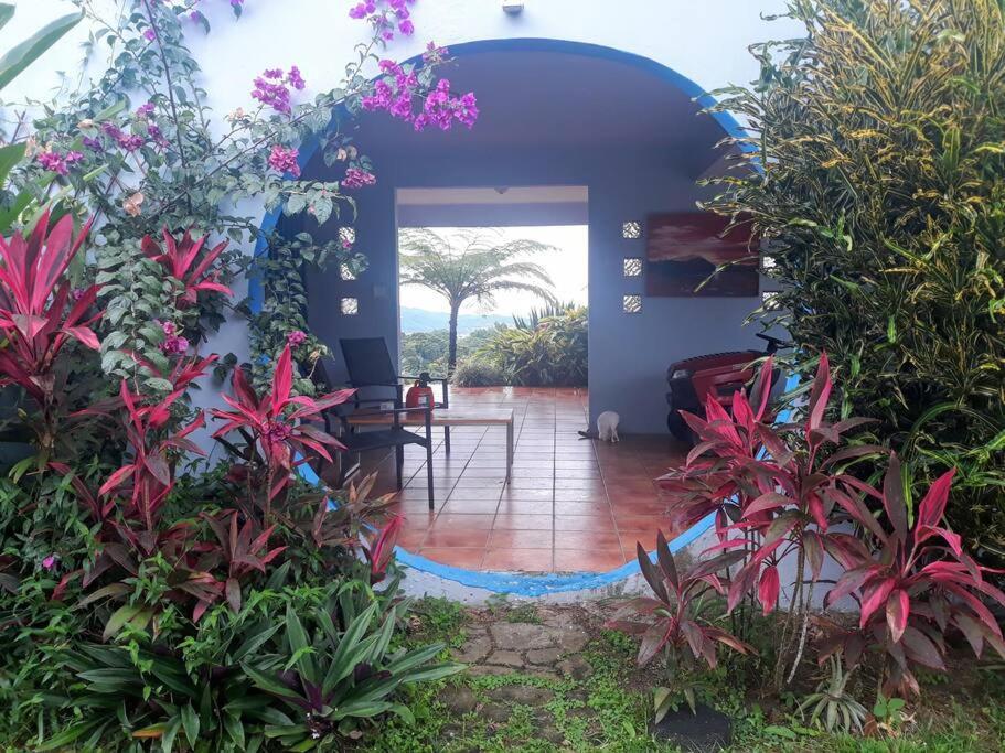 Swim & Paint Art Retreat Διαμέρισμα Las Piedras Εξωτερικό φωτογραφία